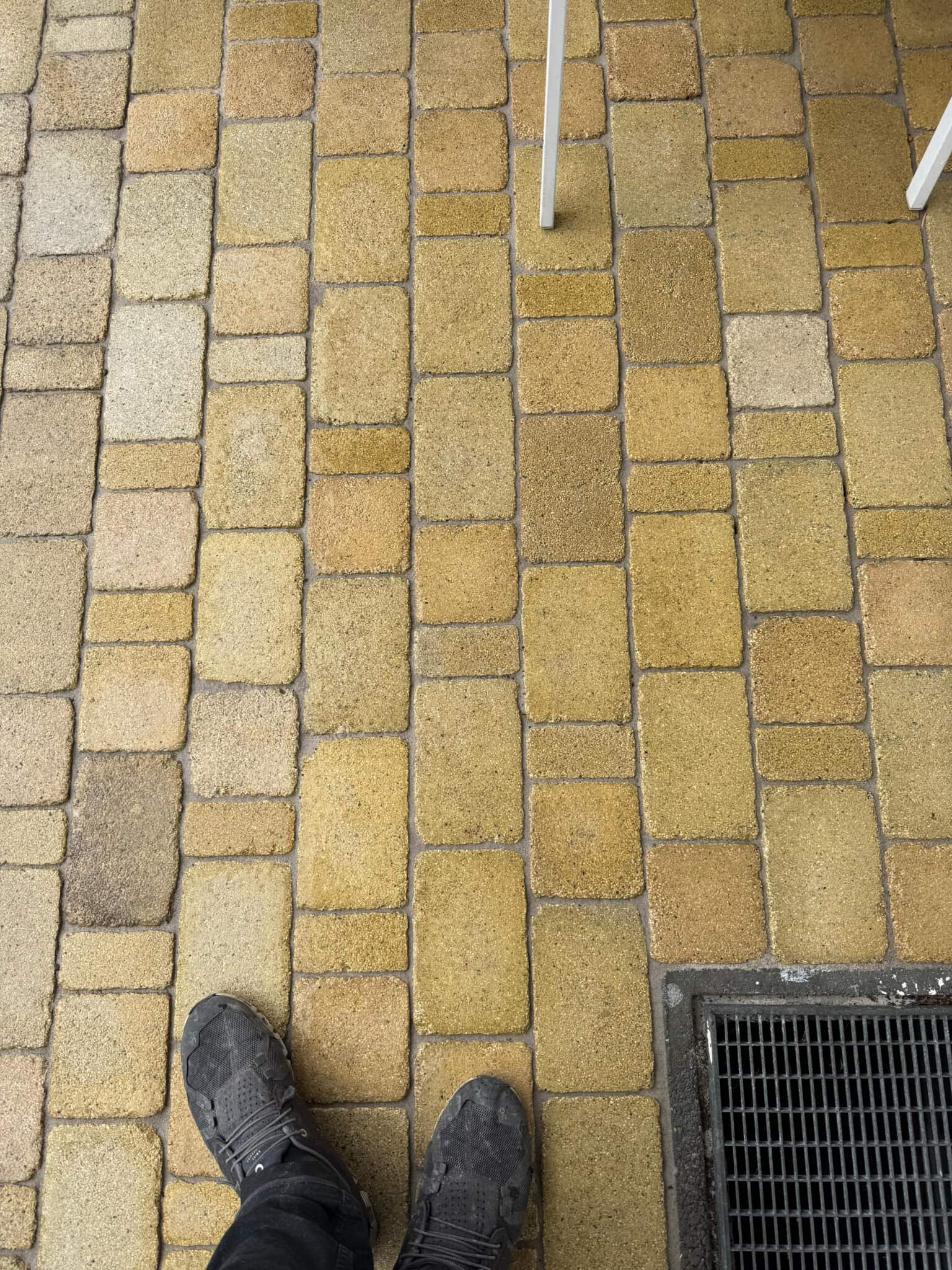 Steinfließen nach der Reinigung