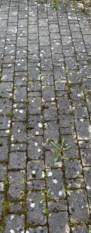 Steinfließen vor der Reinigung