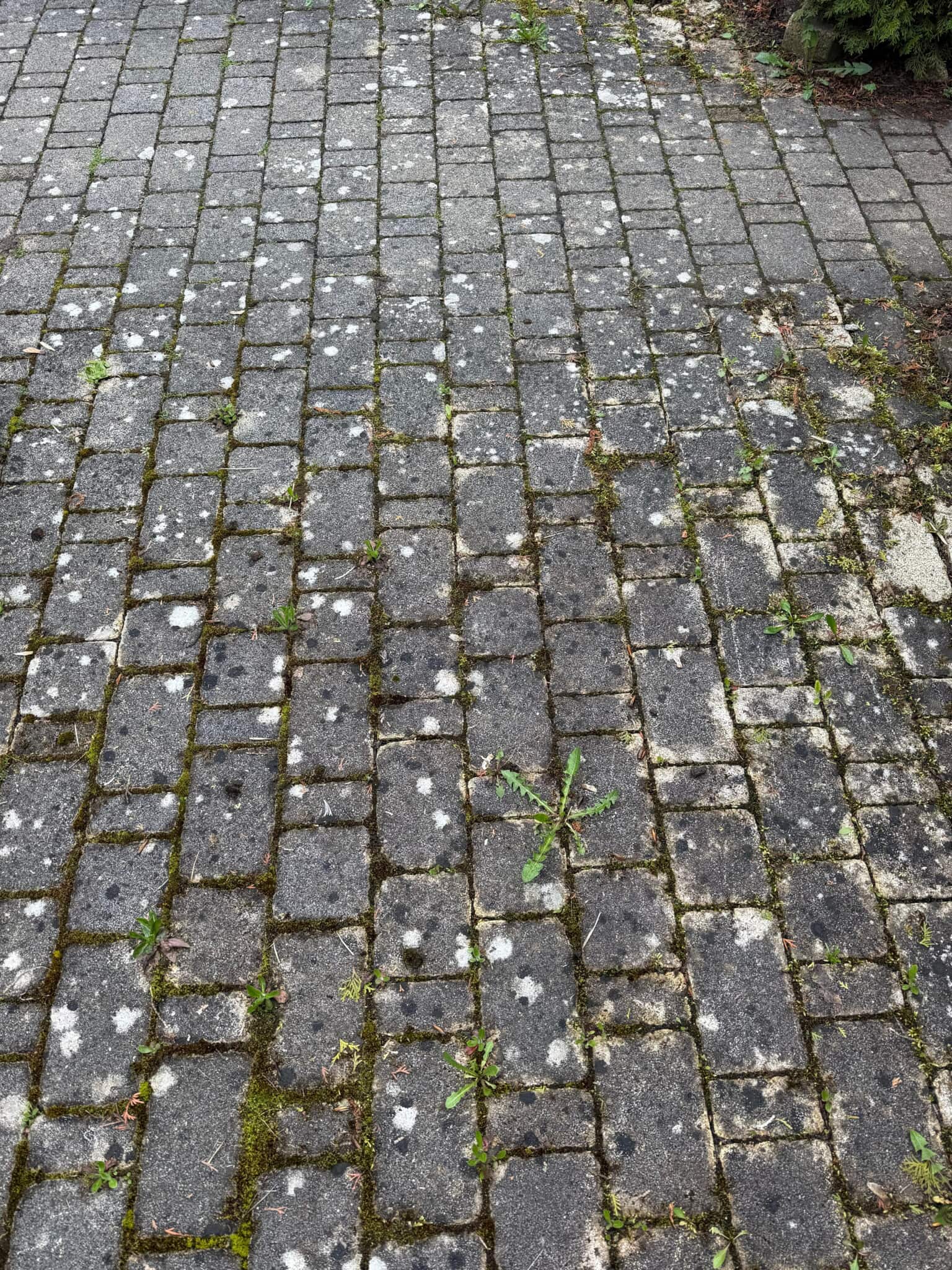 Steinfließen vor der Reinigung